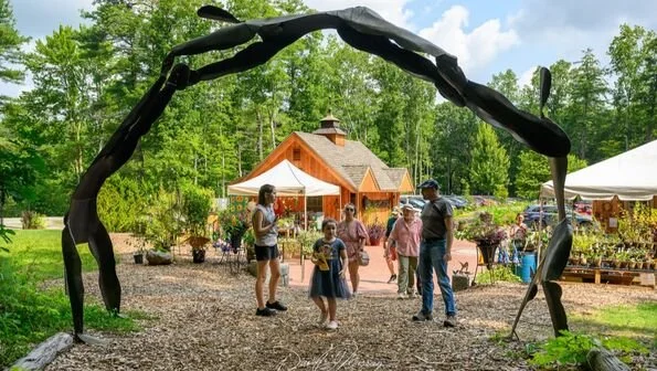 Bedrock Gardens Rare and Unusual Plant Sale