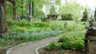 Bedrock Gardens - Midsummer Garden Party: Plant and Scuplture Pre-sale. 