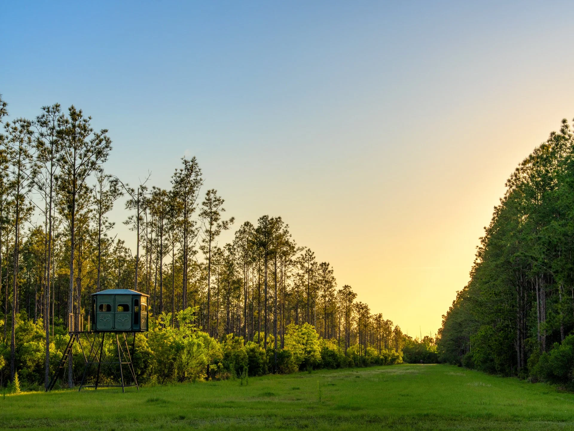PhillipsRanch_TheWild_1oakstudios_29.jpg