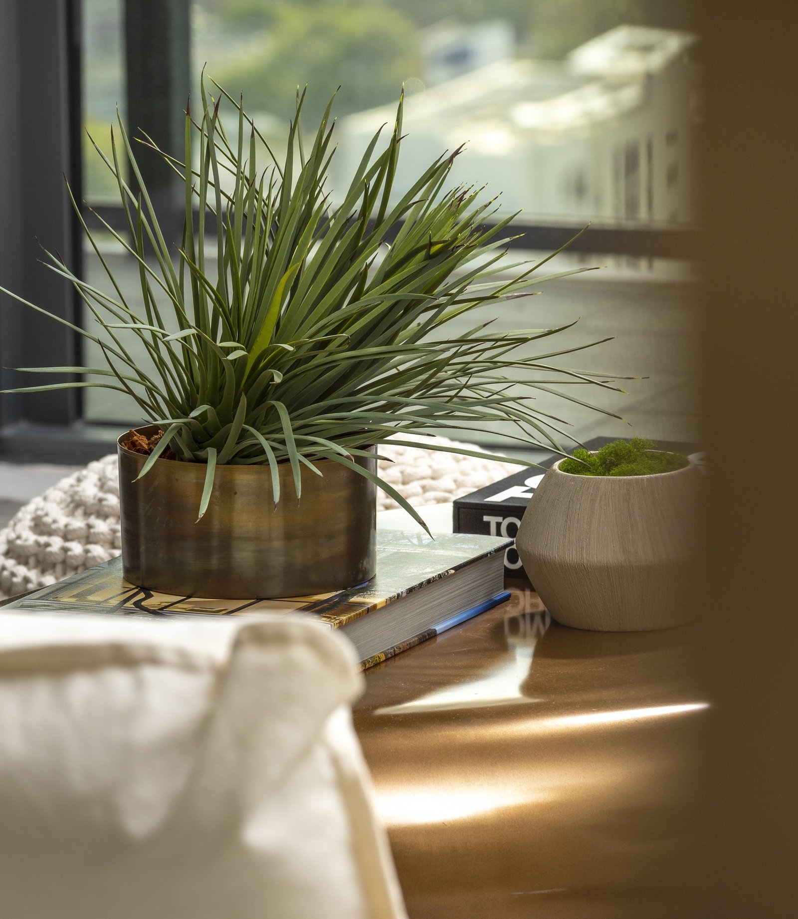 Indoor plant in metal pot on wooden table with books and vase