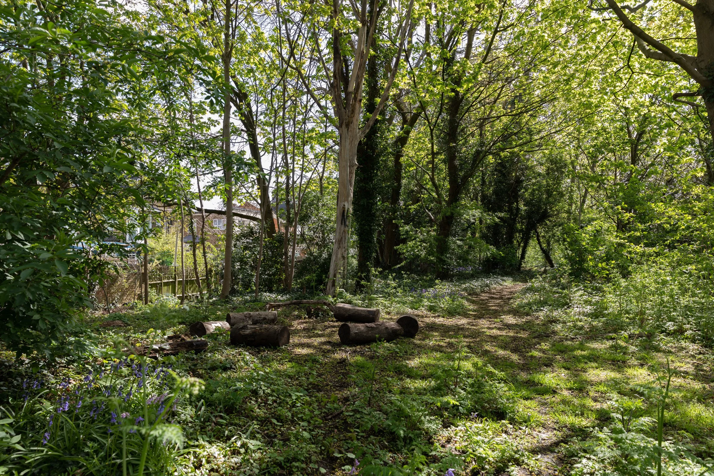 BARRATT-AVENUE-LOWRES-35.jpg