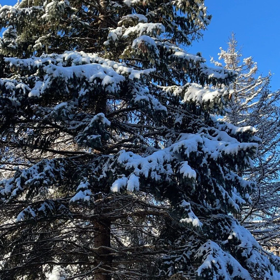 ❄️ Our first winter hike is this weekend.Jan 22nd 👀 check your email for details. Didn&rsquo;t sign up? No stress send us a DM 😊