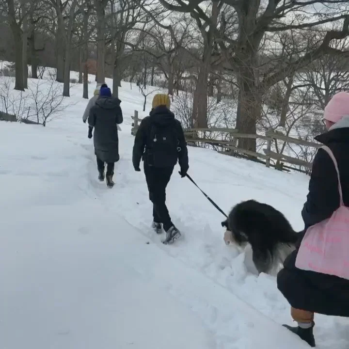 Our first winter hike ❄️😊❤️