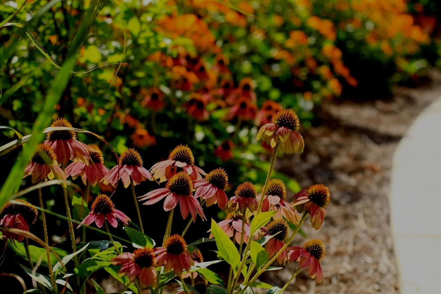 Garden Tour — Narberth Area Garden Club