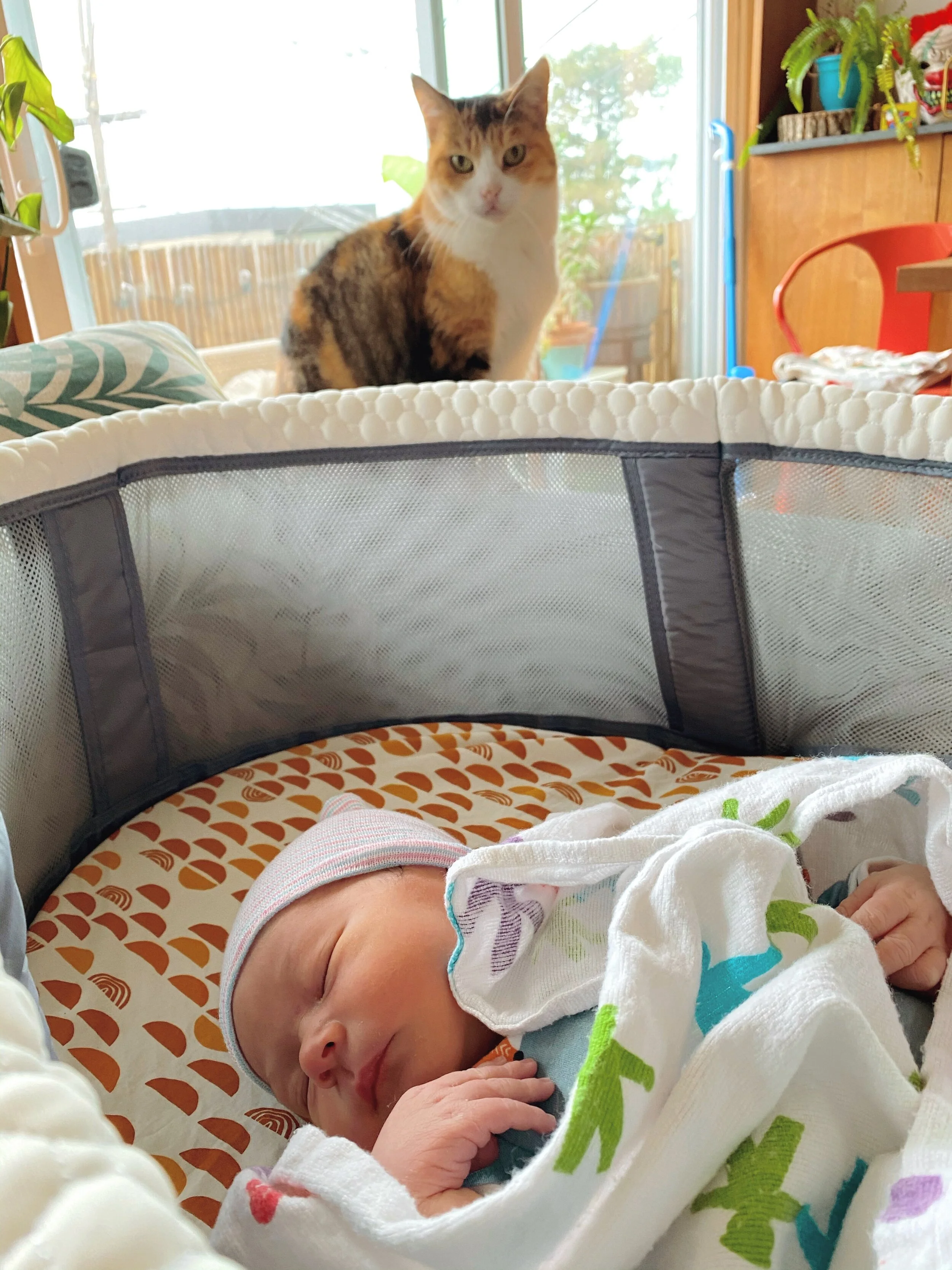 AfterlightImage 82.JPG