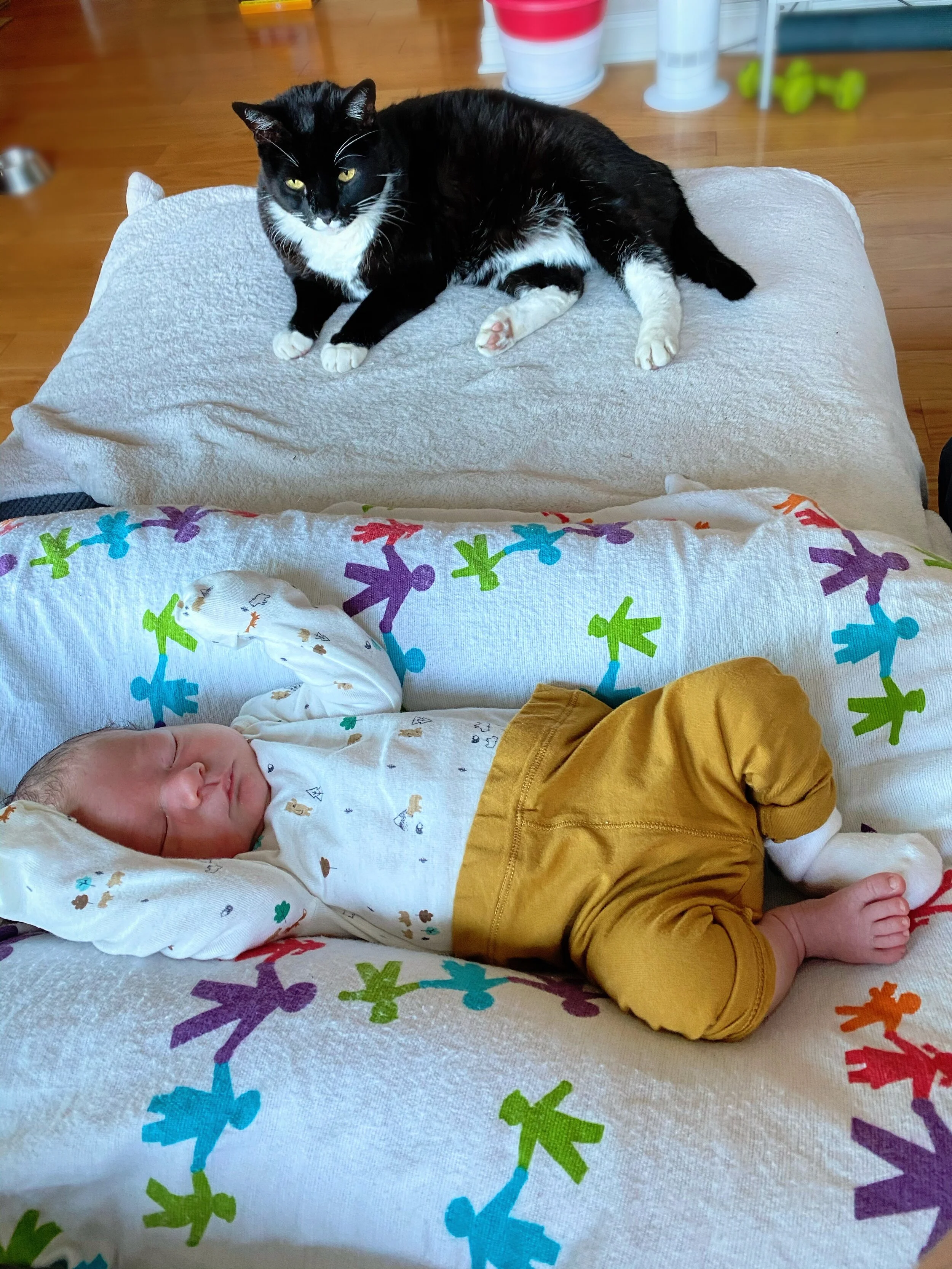 AfterlightImage 129.JPG