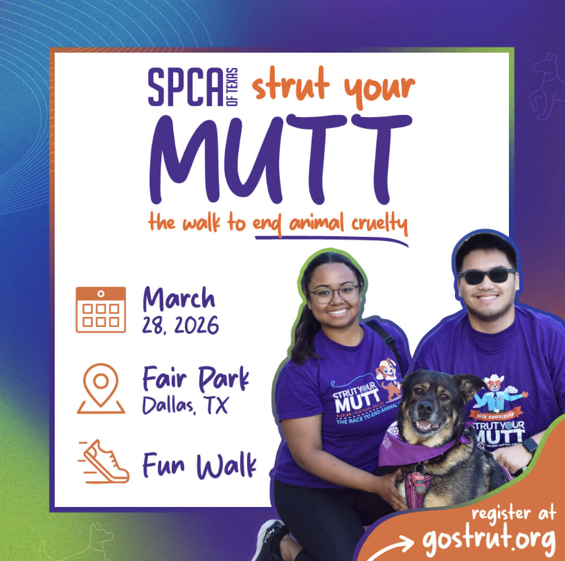 SPCA Strut Your Mutt