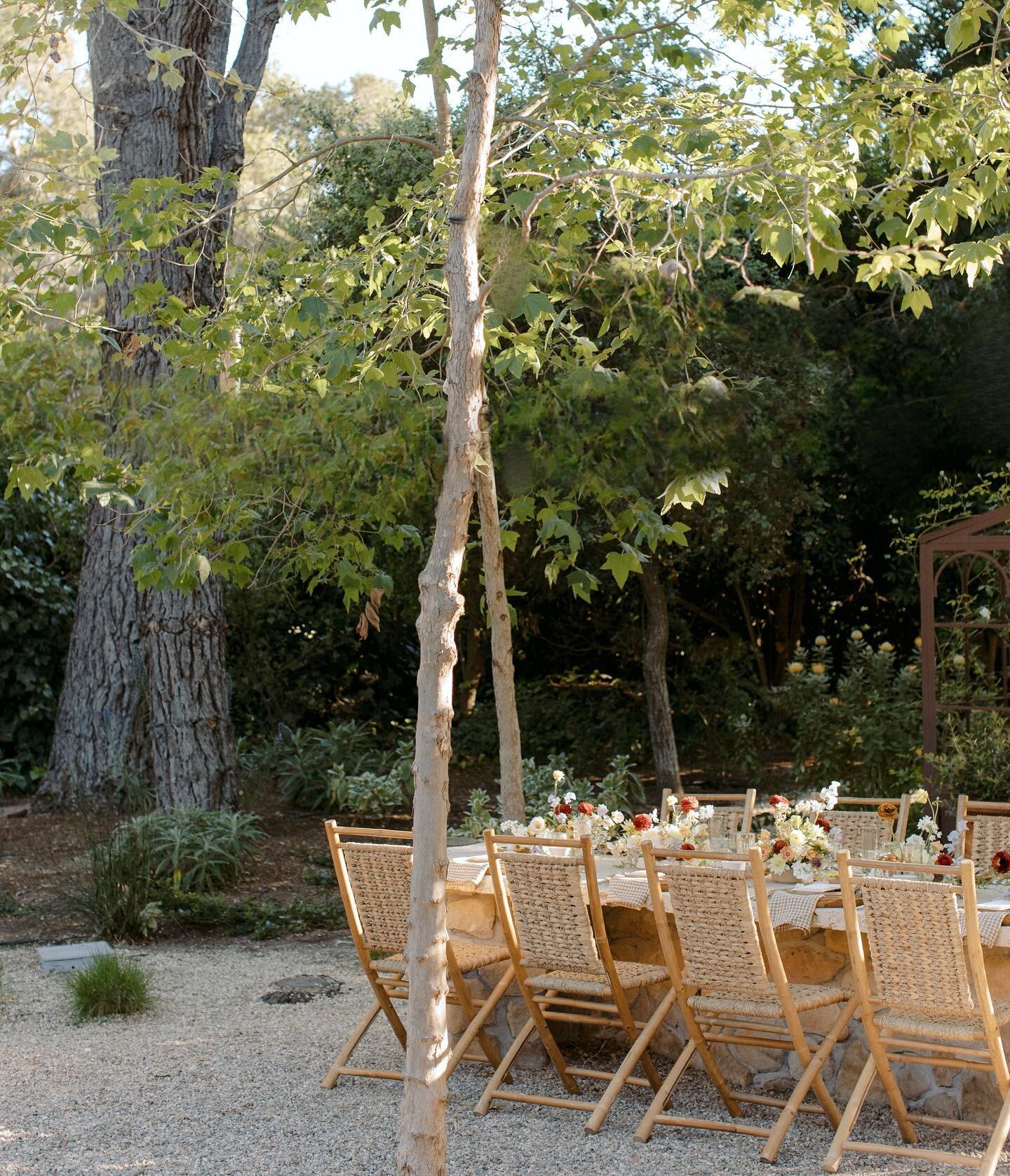 Backyard dinner parties on a summer night. 

Captured @alibeckphoto 

#backyardgarden #dinnerparty #sweetsummertime #alfrescodining #dinnerinspiration #summernights