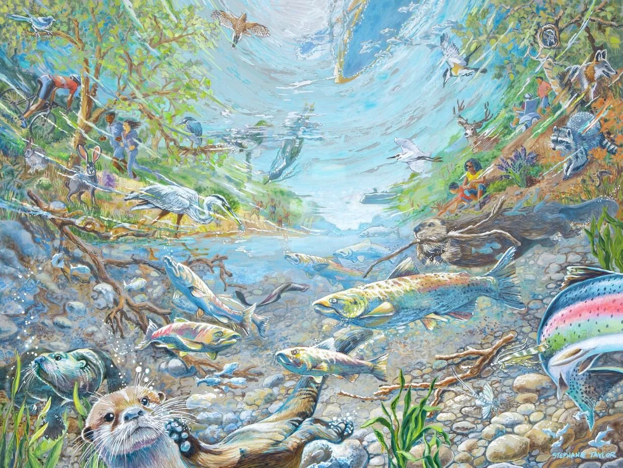 Water Forum 20th Anniversary Artwork Installation Underway at the Sacramento County Administration Building