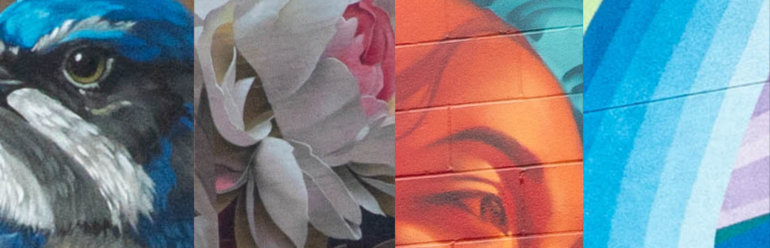Help us decide what's next for Elk Grove's arts and culture scene!