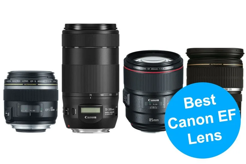 Best Canon Lenses in the Market