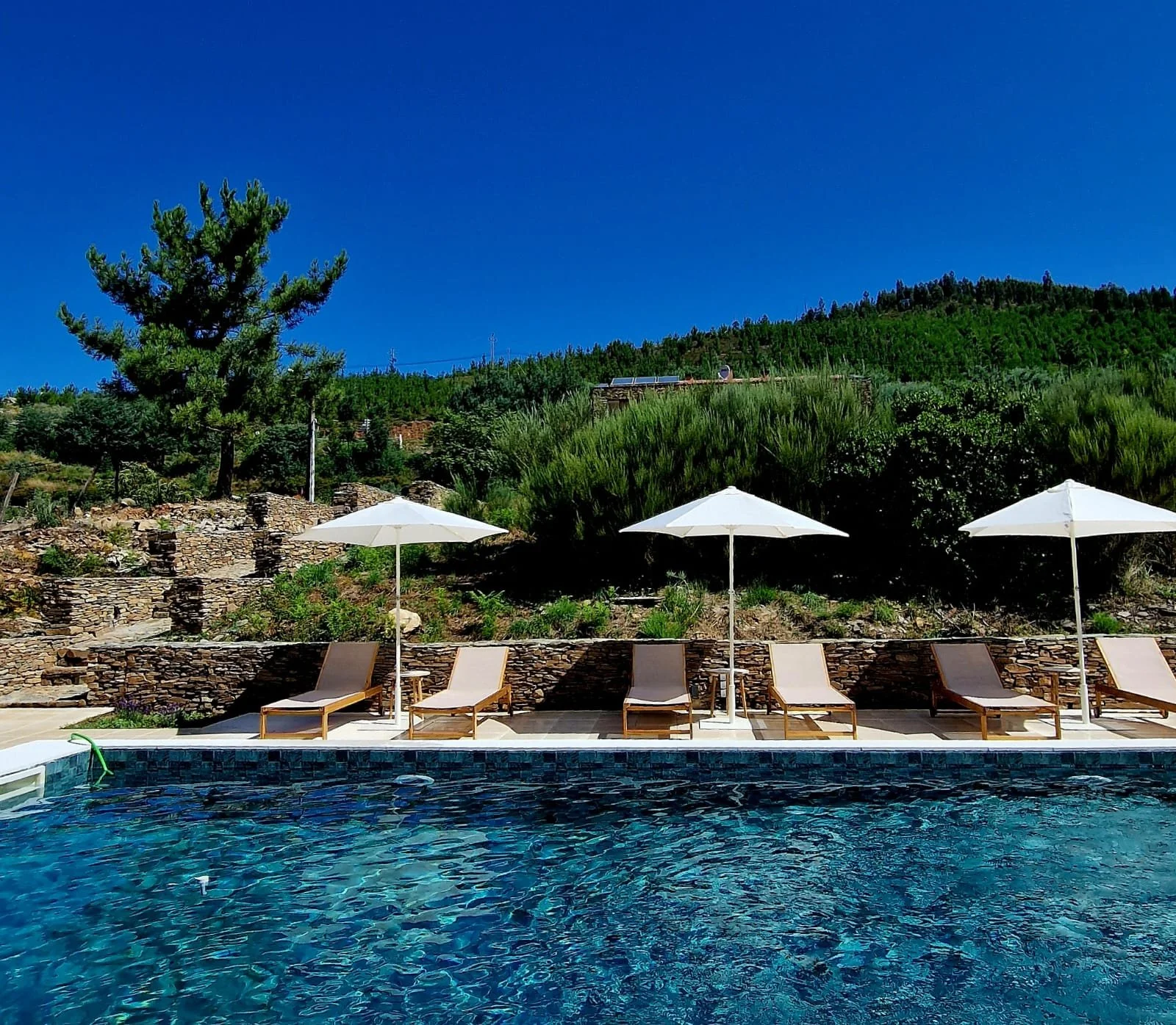 Beira da piscina partilhada