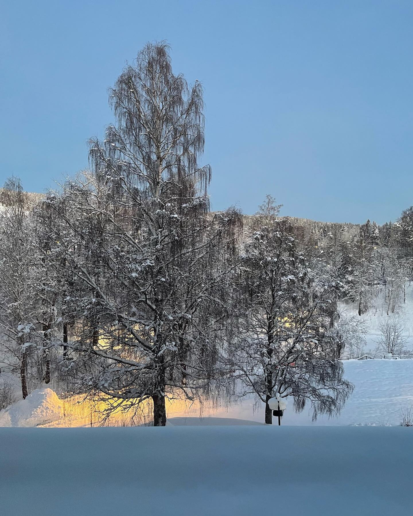 A crisp, fresh morning in northern Sweden, just before dawn. 🌲💕