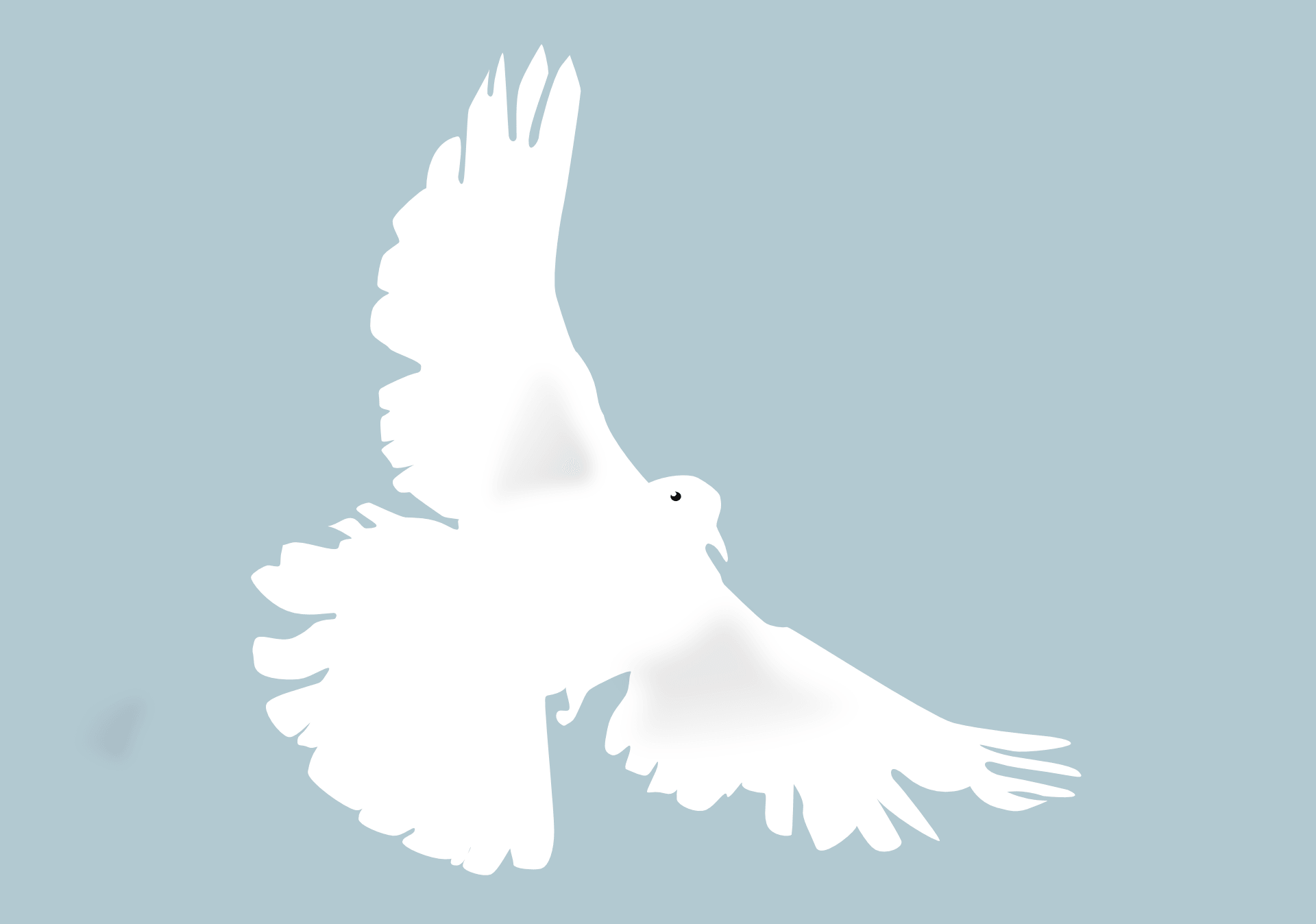 My Dream Campaign: Dove Campaign for Real Beauty