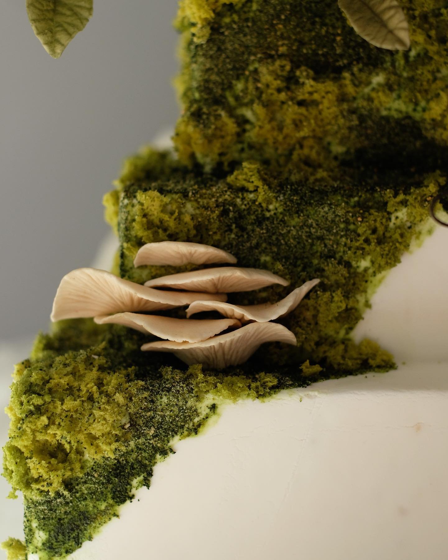 (Edible and sugary) moss and mushrooms on cake 😎 

#ediblemoss #weddingcake #weddingcaketoronto #torontoweddings #mushrooms #funelements