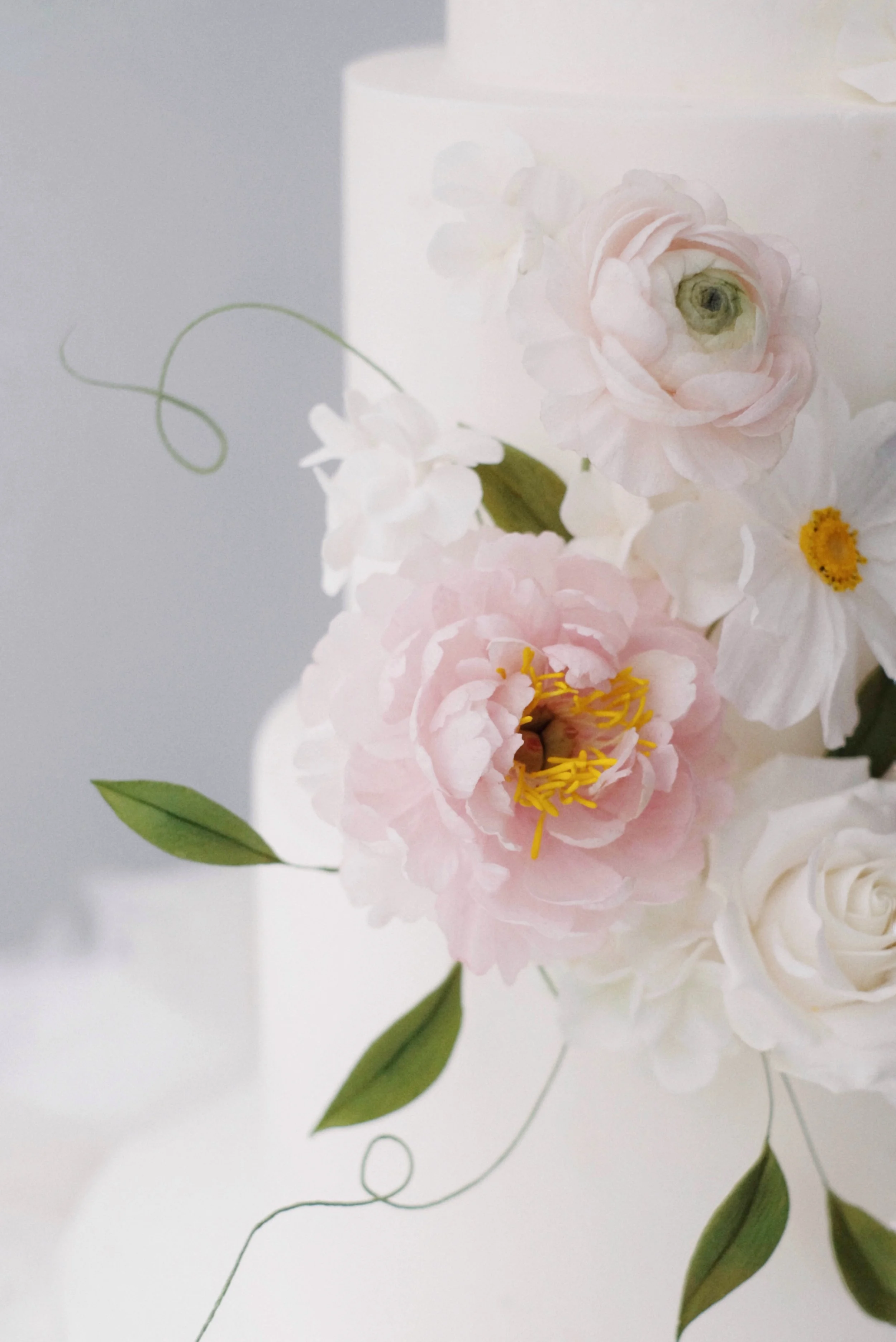 Teresa & James-4.jpg