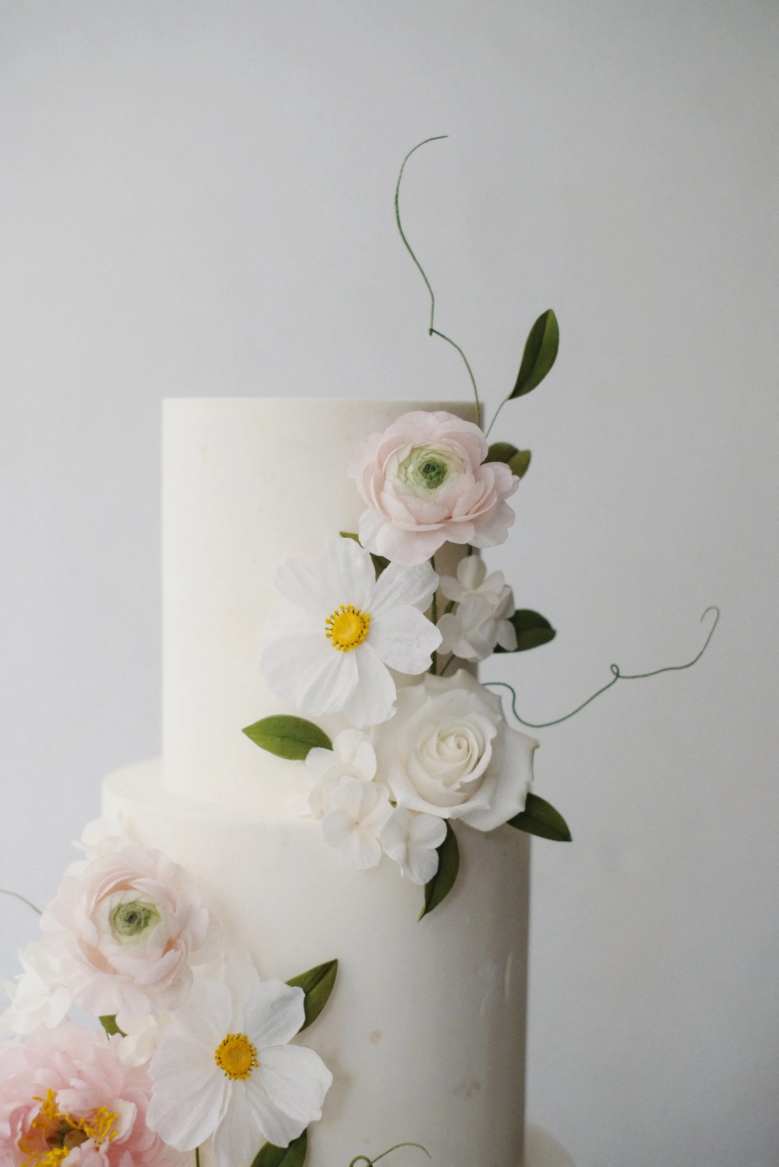 Teresa & James-1.jpg