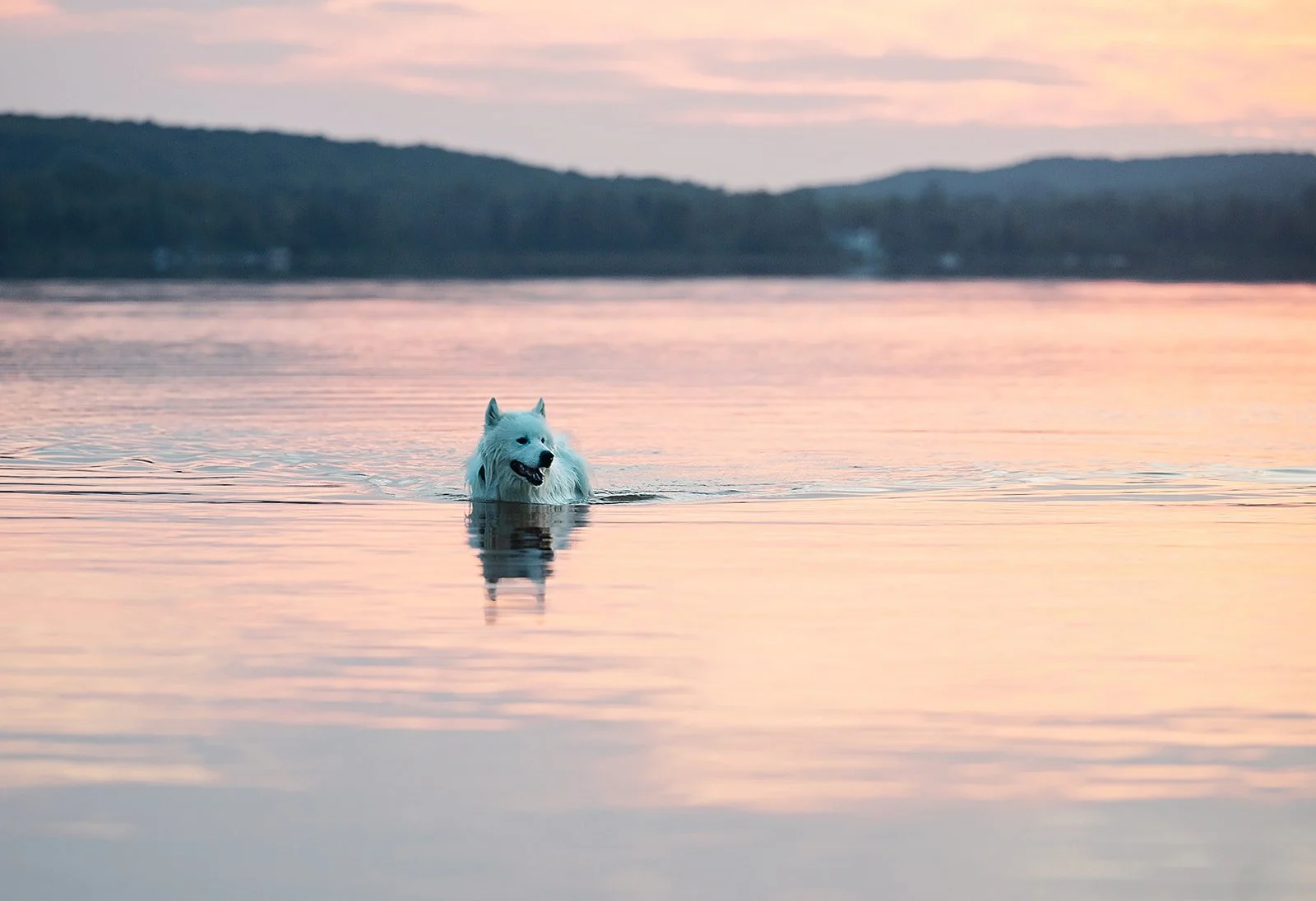 J&R_140 copy_websize.jpg