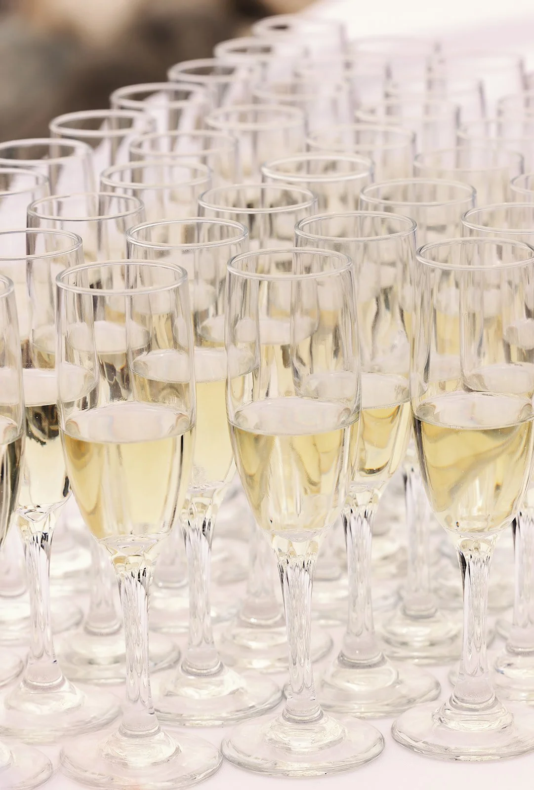 S&S_0404 copy_websize.jpg