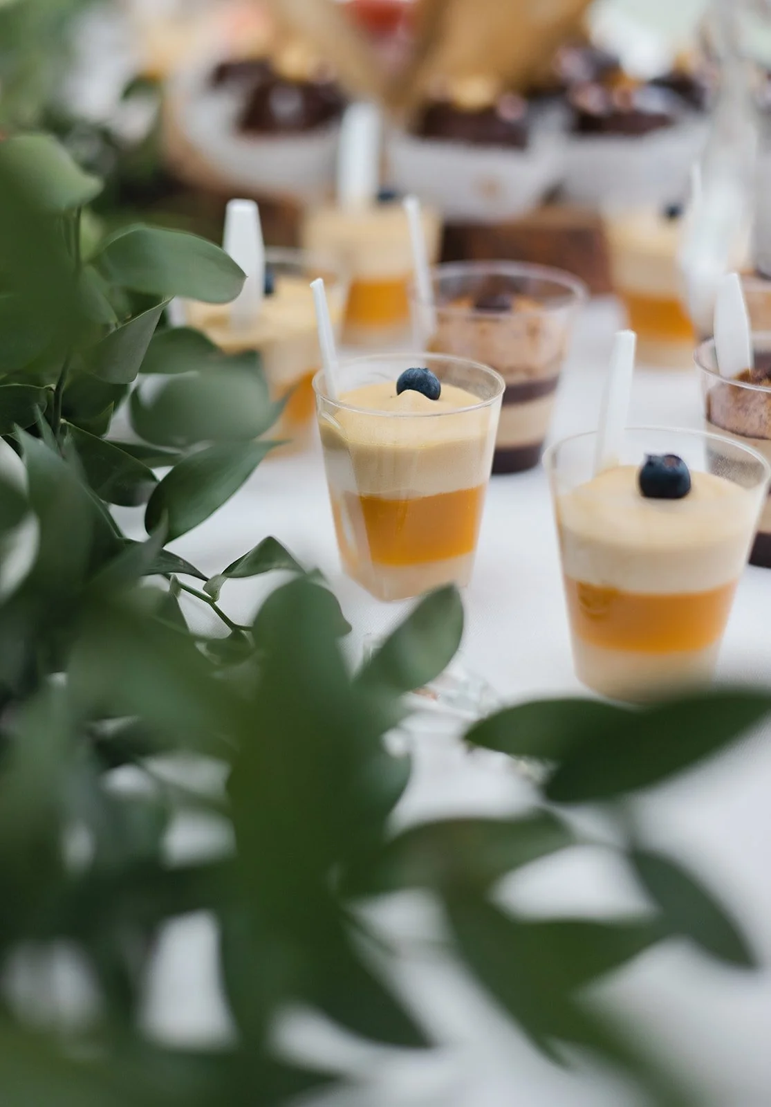 S&S_0811 copy_websize (1).jpg