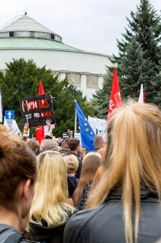 Na jakie grupy się w Polsce dzielimy?
