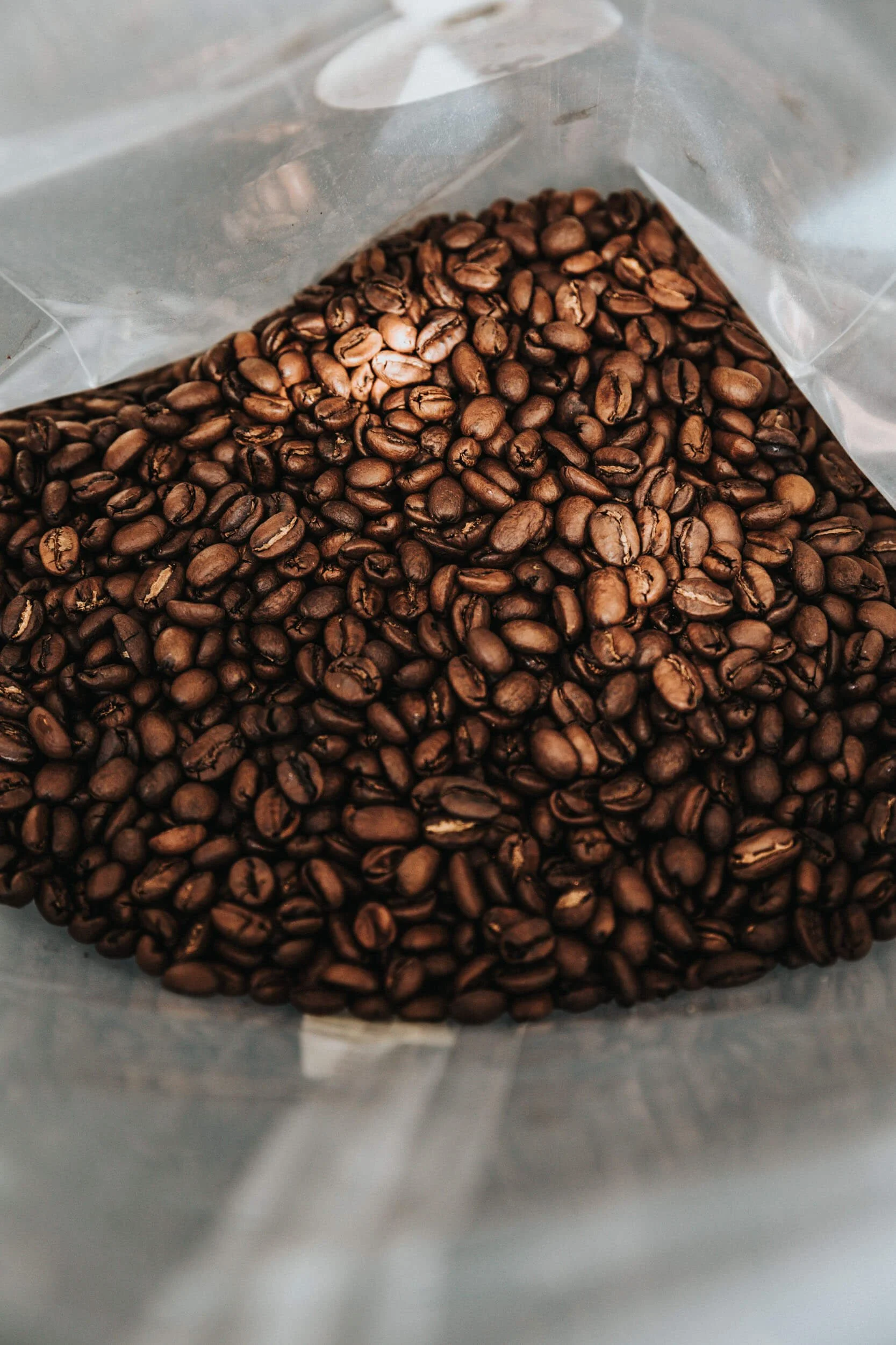Single Origin – Panama Summer Honey Geisha