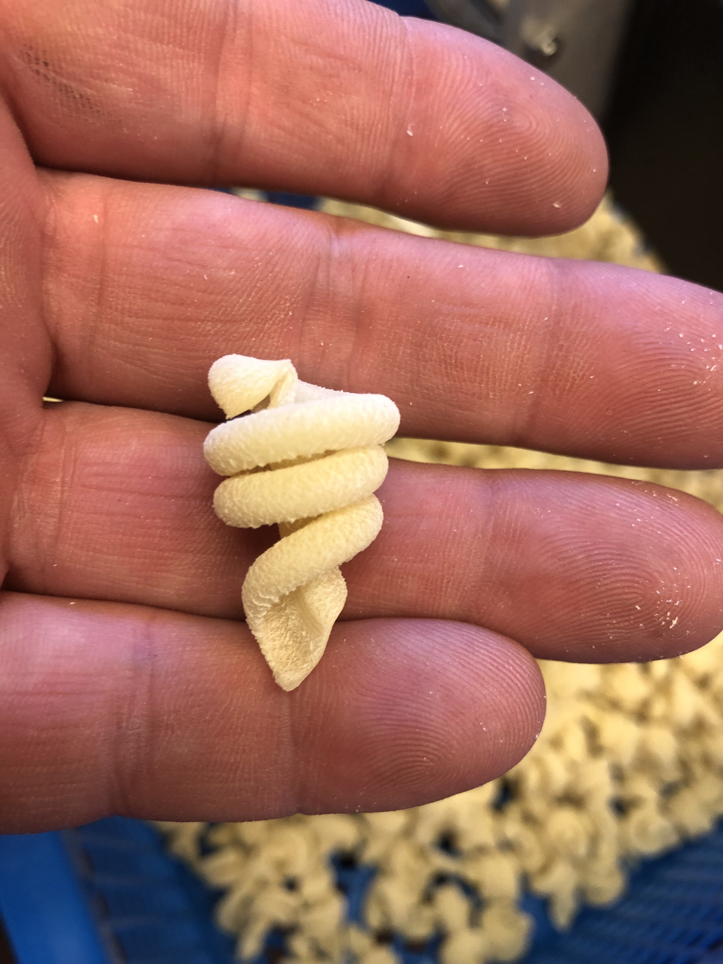 trottole hand .jpg