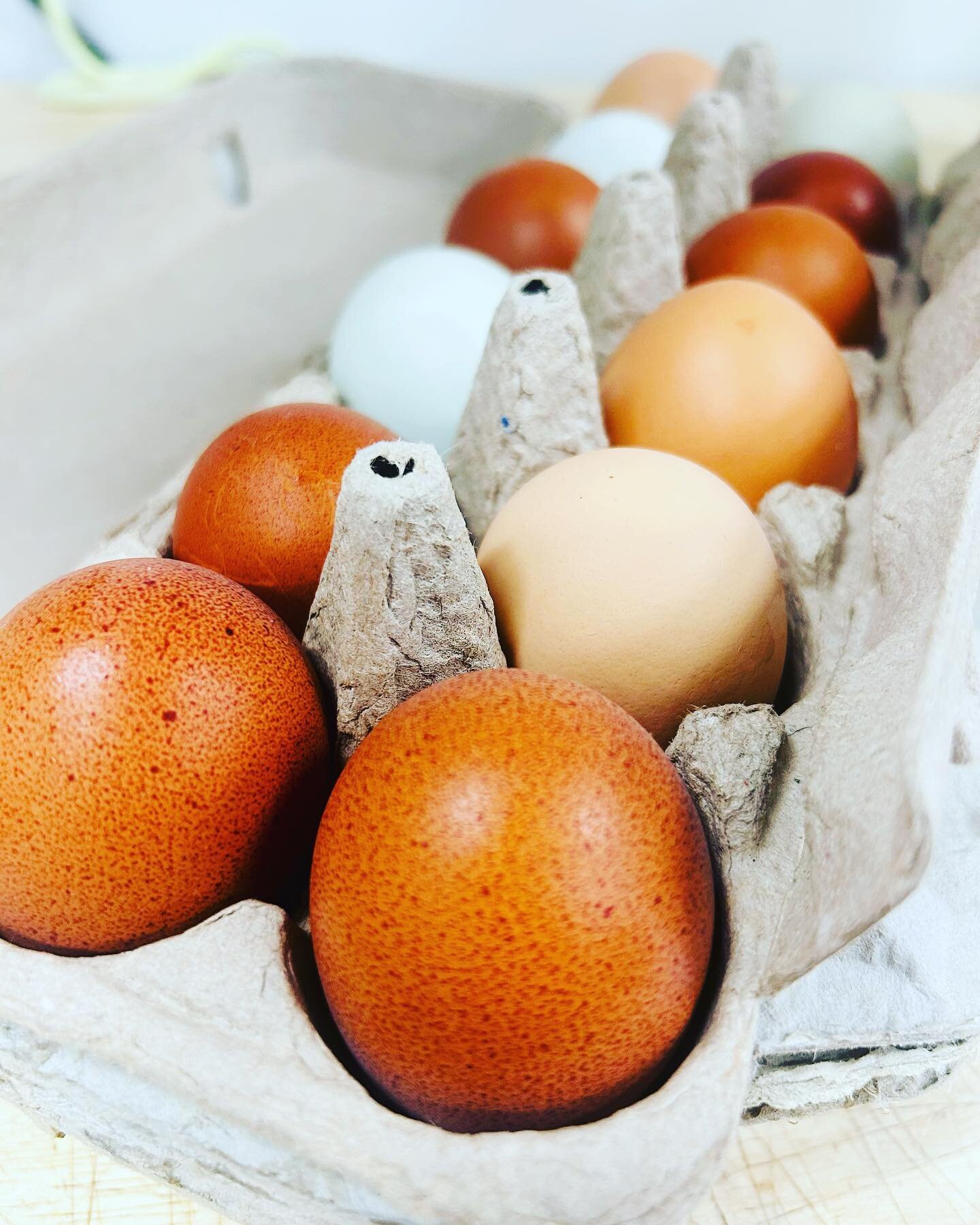 Every day, a little bit different. Little tweaks here and little tweaks there. Just enough to make it as perfect as we can. 
.
.
.
#pasture42farm #eggs #pasta #artisan #localislovely #local #localfood #eatlikeyougiveadamn #realfood #madebyhand #norca