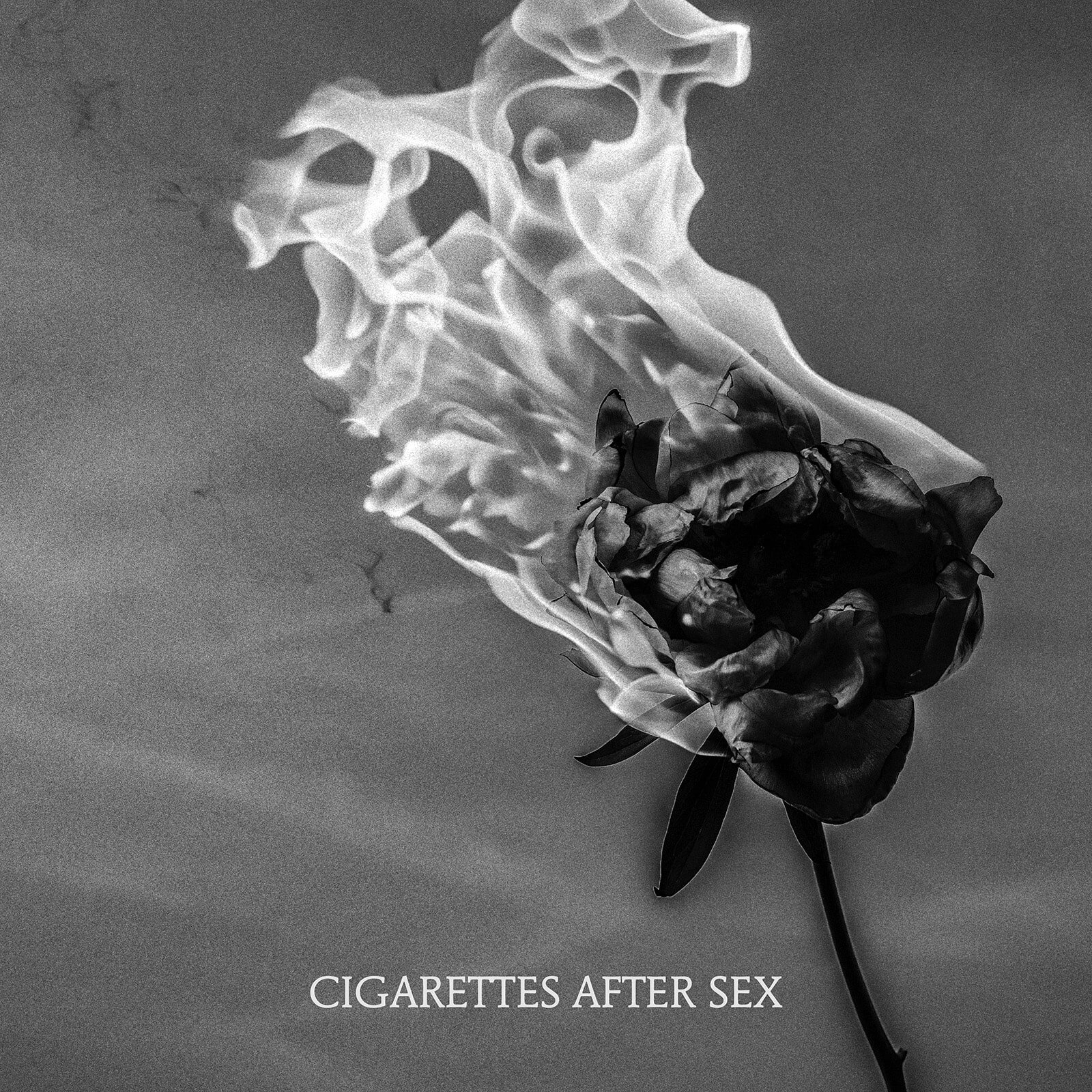 Cigarettes After Sex - Heavenly // Lyrics 