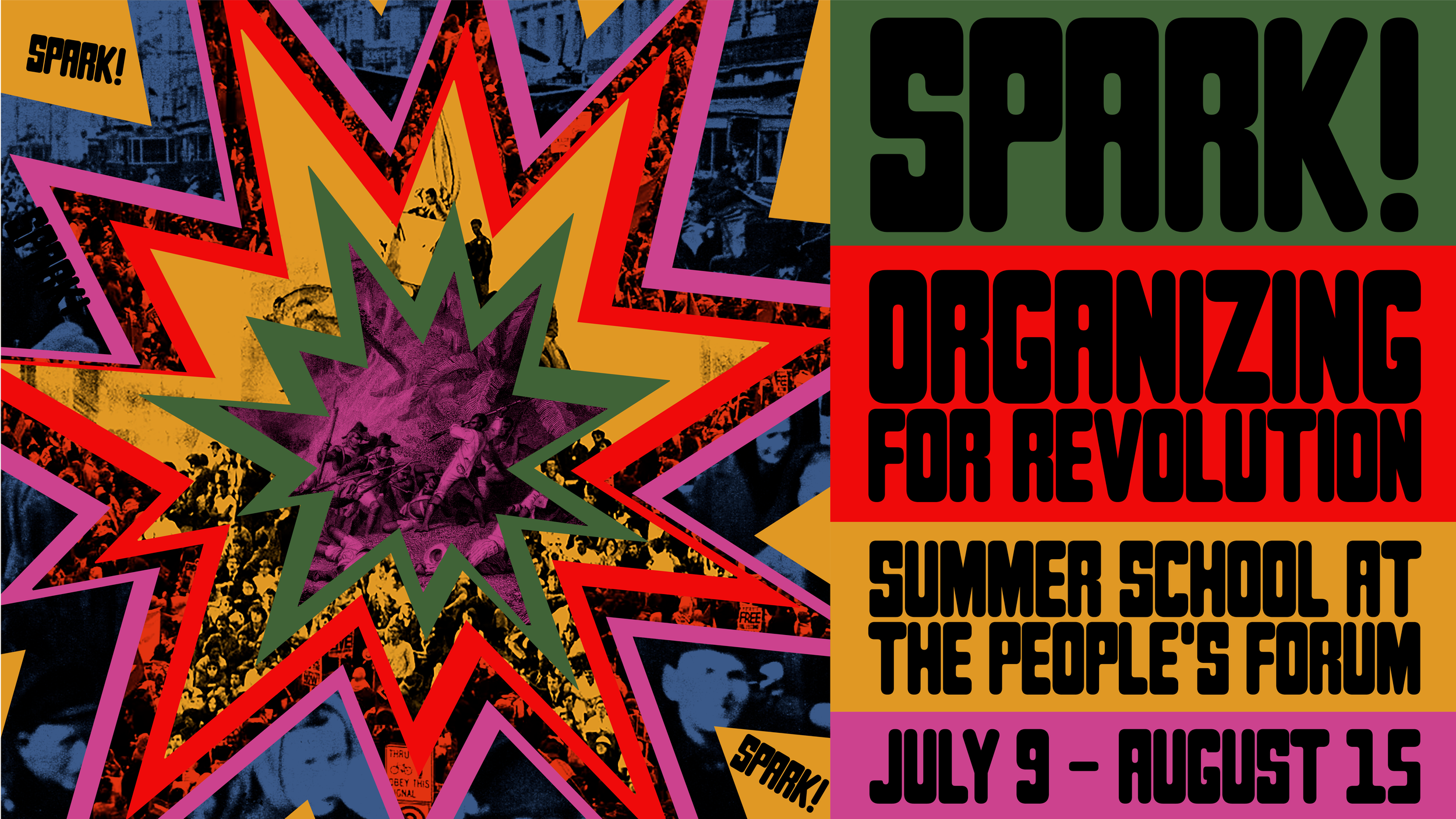 Final - Spark! Organizing for Revolution Visuals_Website.png