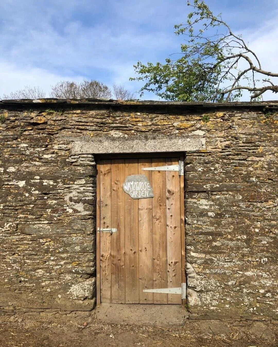 Back in the Kitchen with Ethan FriskneyBryer — Farms To Feed Us