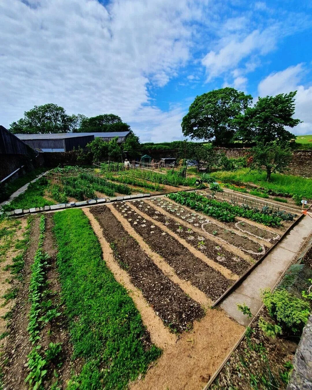 Back in the Kitchen with Ethan FriskneyBryer — Farms To Feed Us