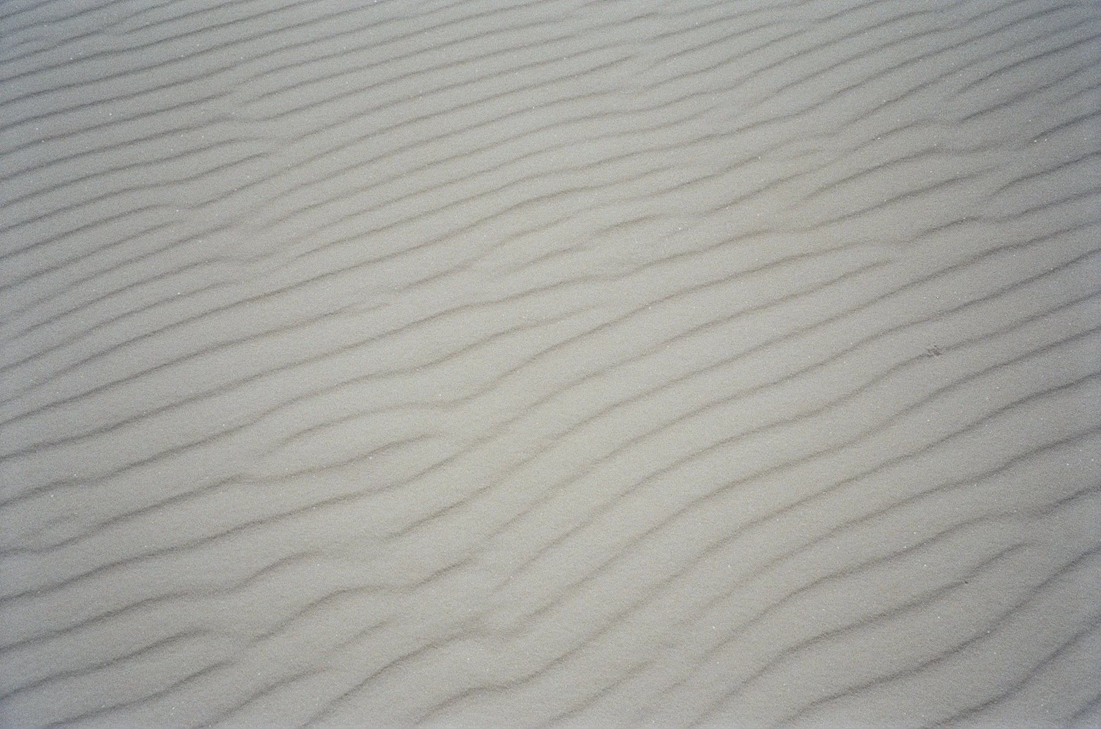 000040130021.jpg