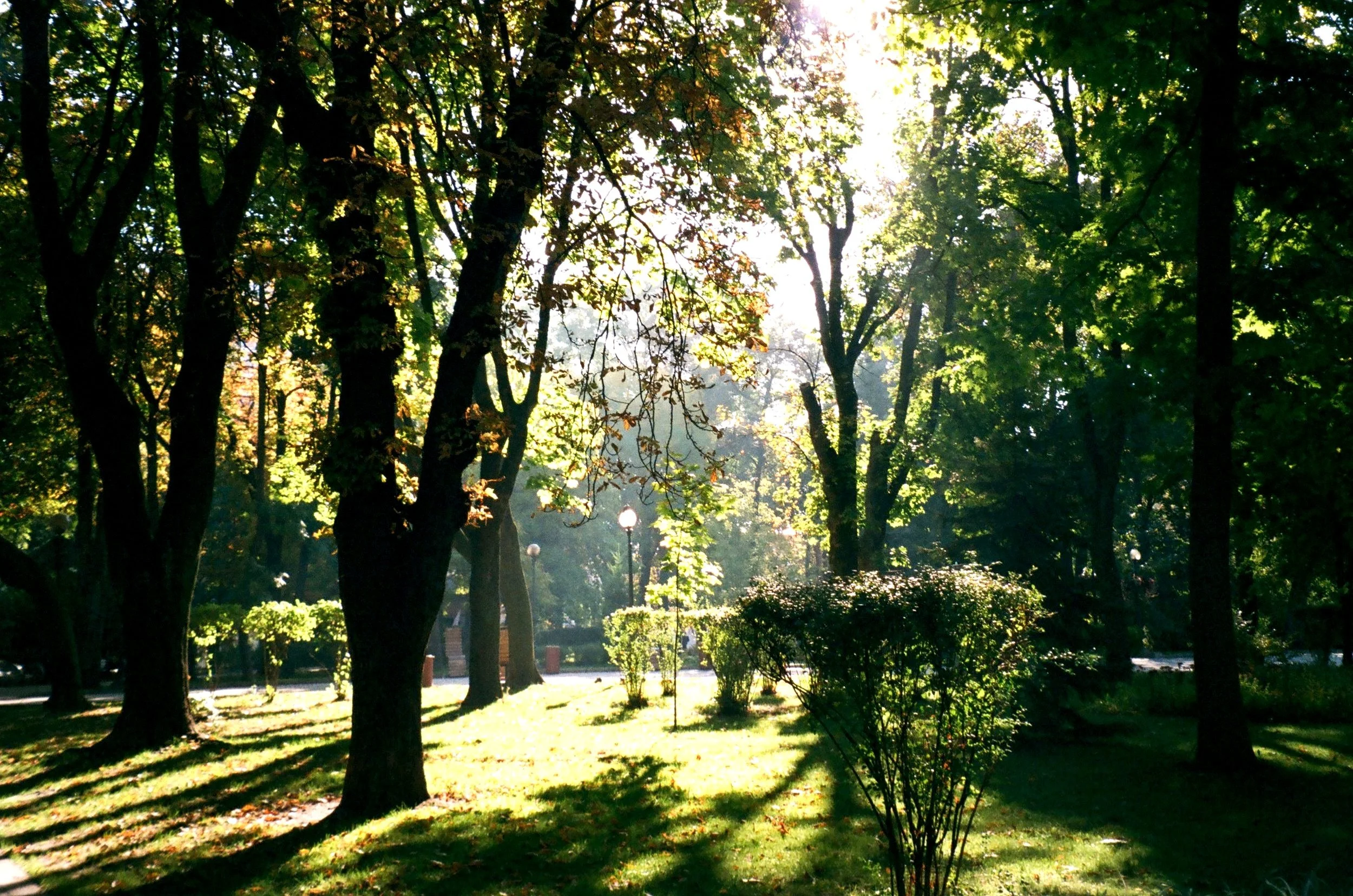 5D8A3AFF-547C-4B38-B89D-0B6AA22B8E9F.jpg