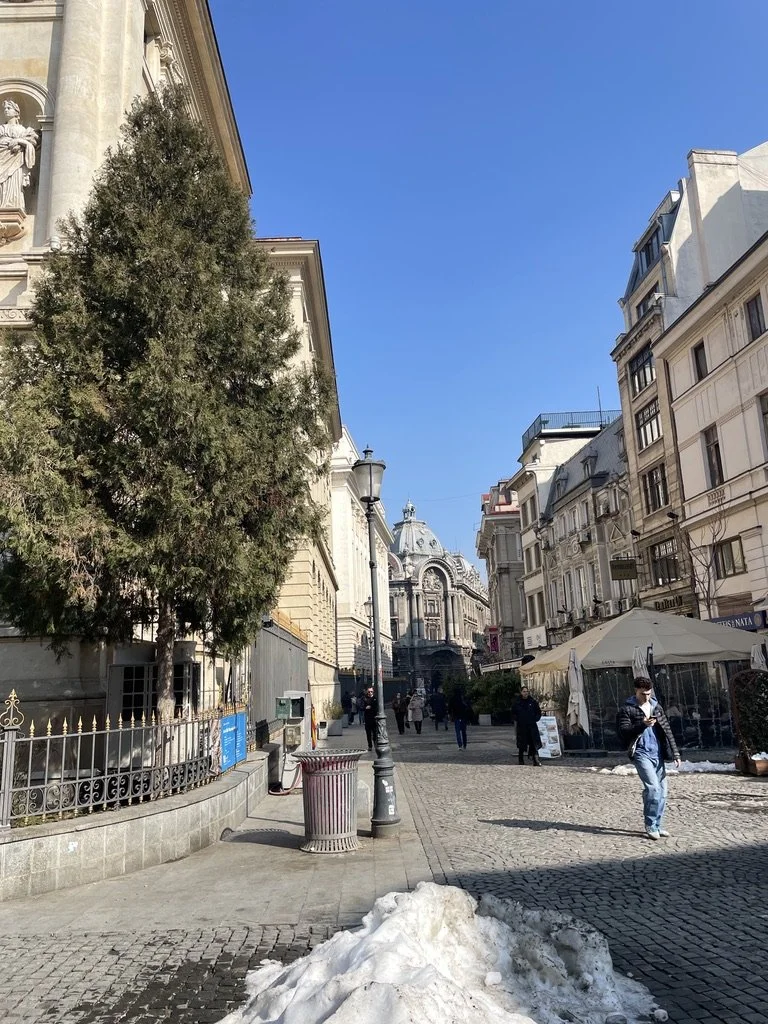 45C0612D-0017-40D7-B45F-D805603794AB_1_105_c.jpeg