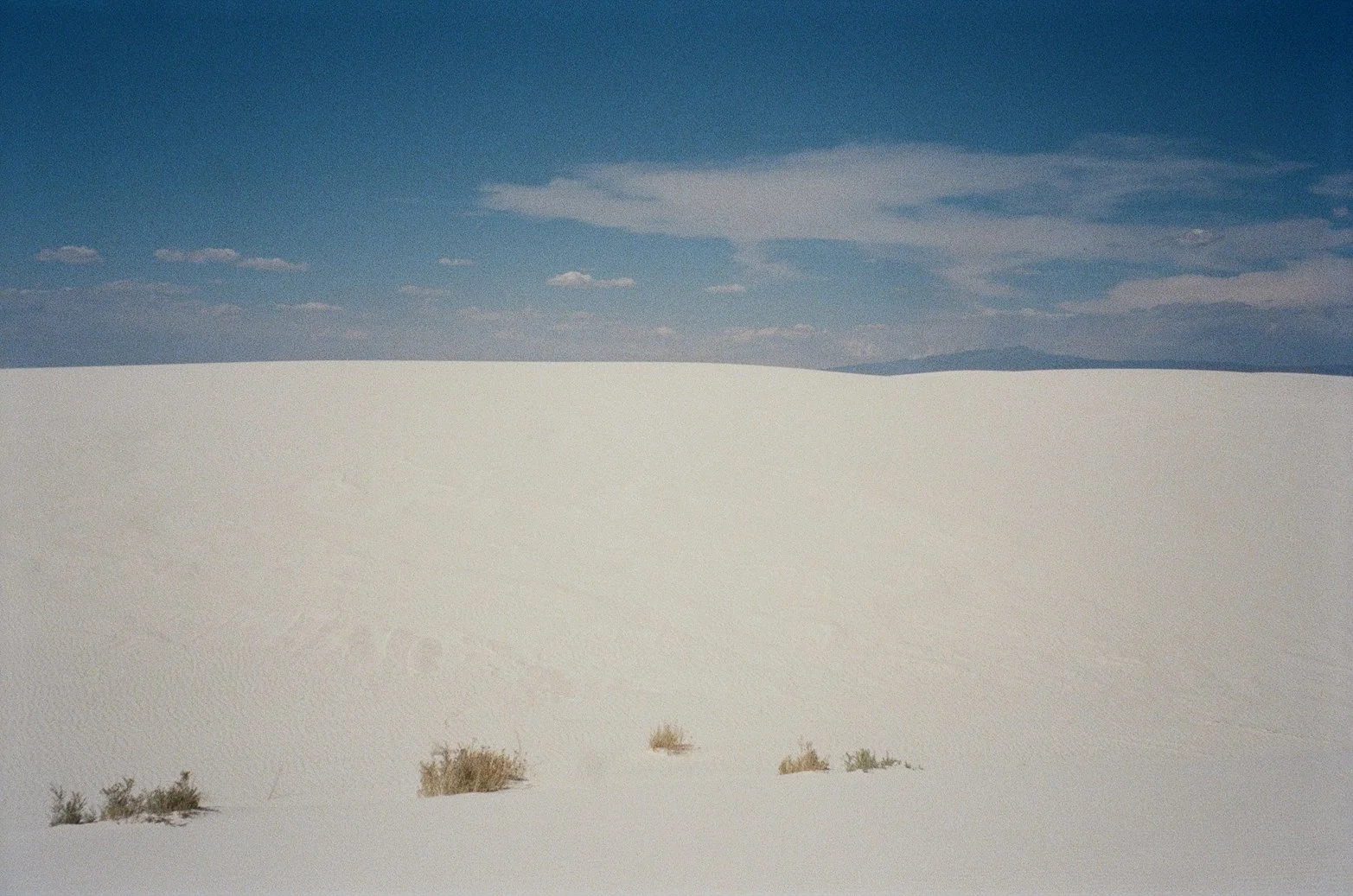 000040130028.jpg