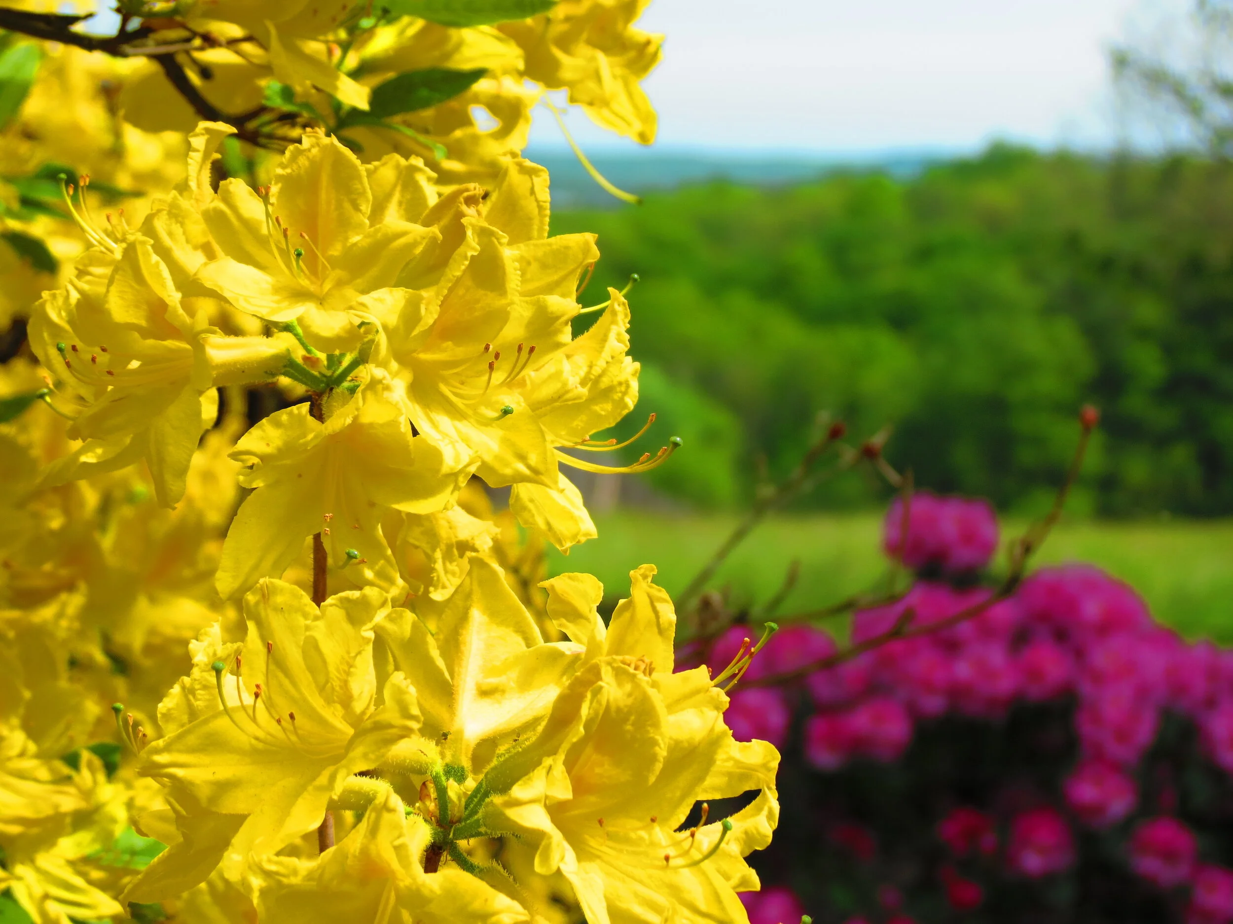 Seeking the Face of God