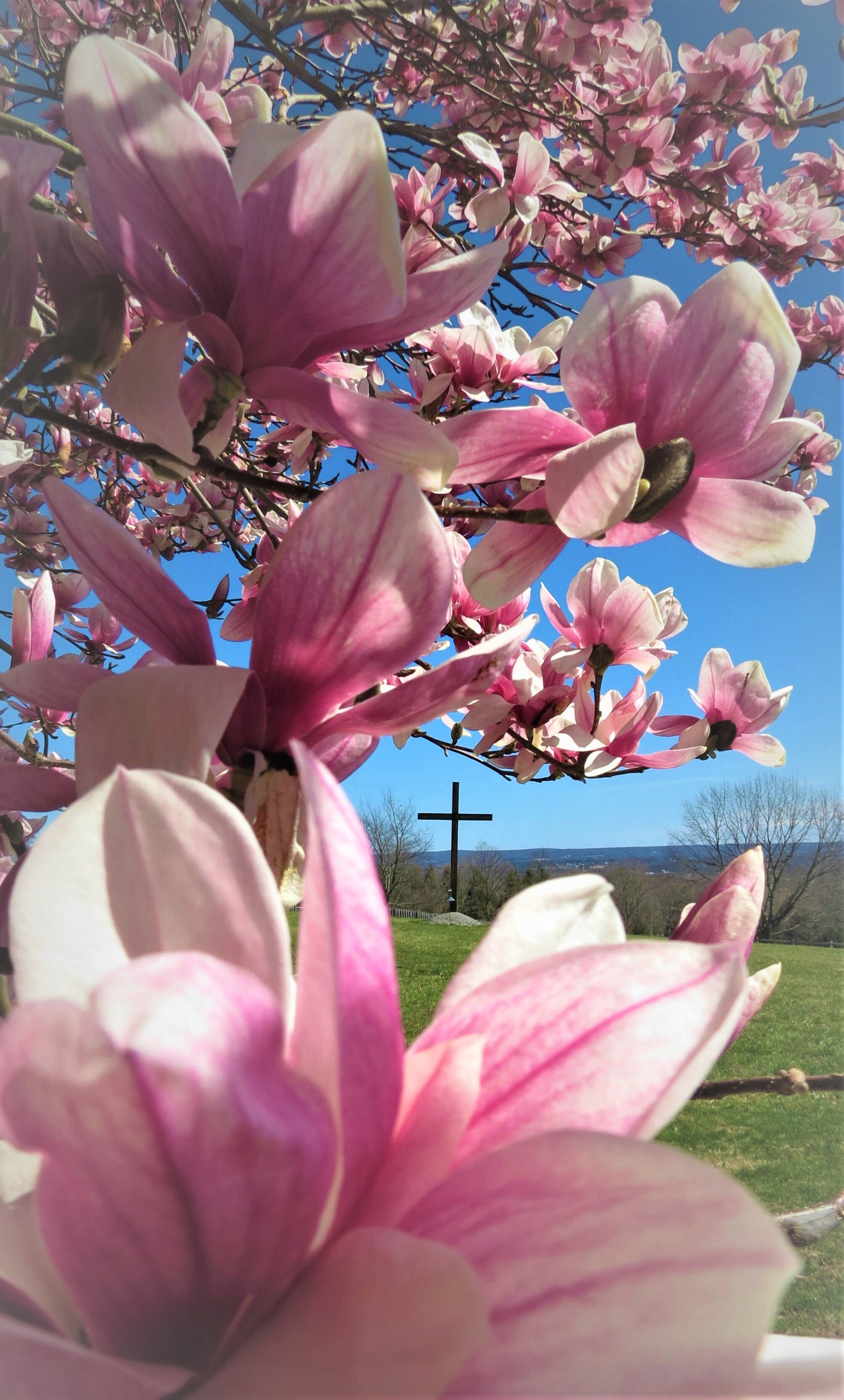 Sr. Gabriela Hicks - flowers+cross.jpg