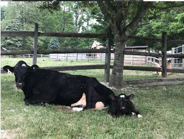 The Passing of an Era