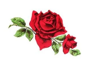 The Blessing of Roses
