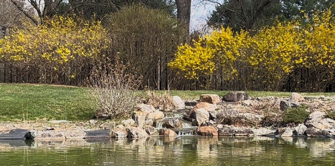 Waterfall Across the Pond Thumbnail.jpg