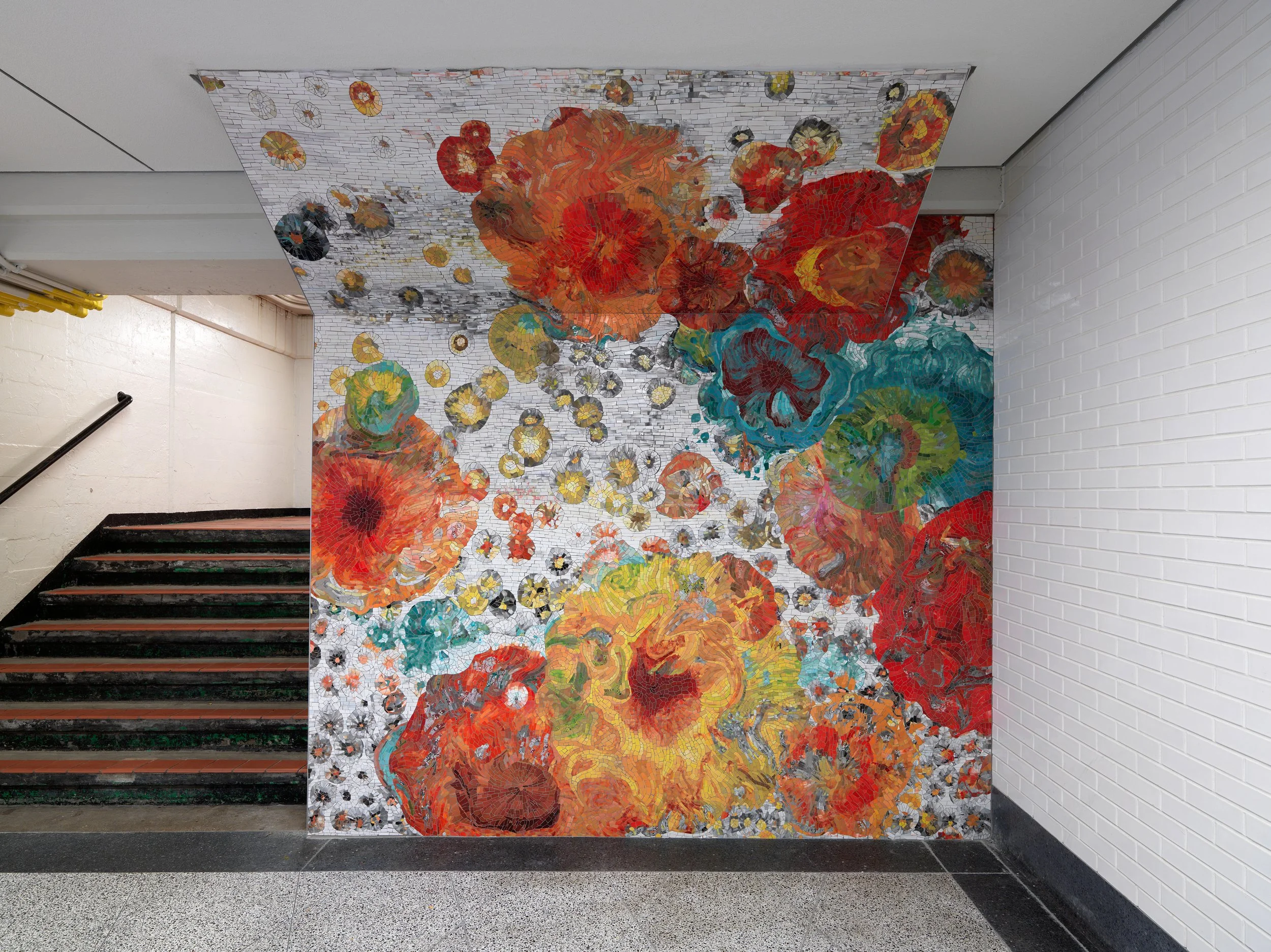 (Photo credit: Tom van Eynde)