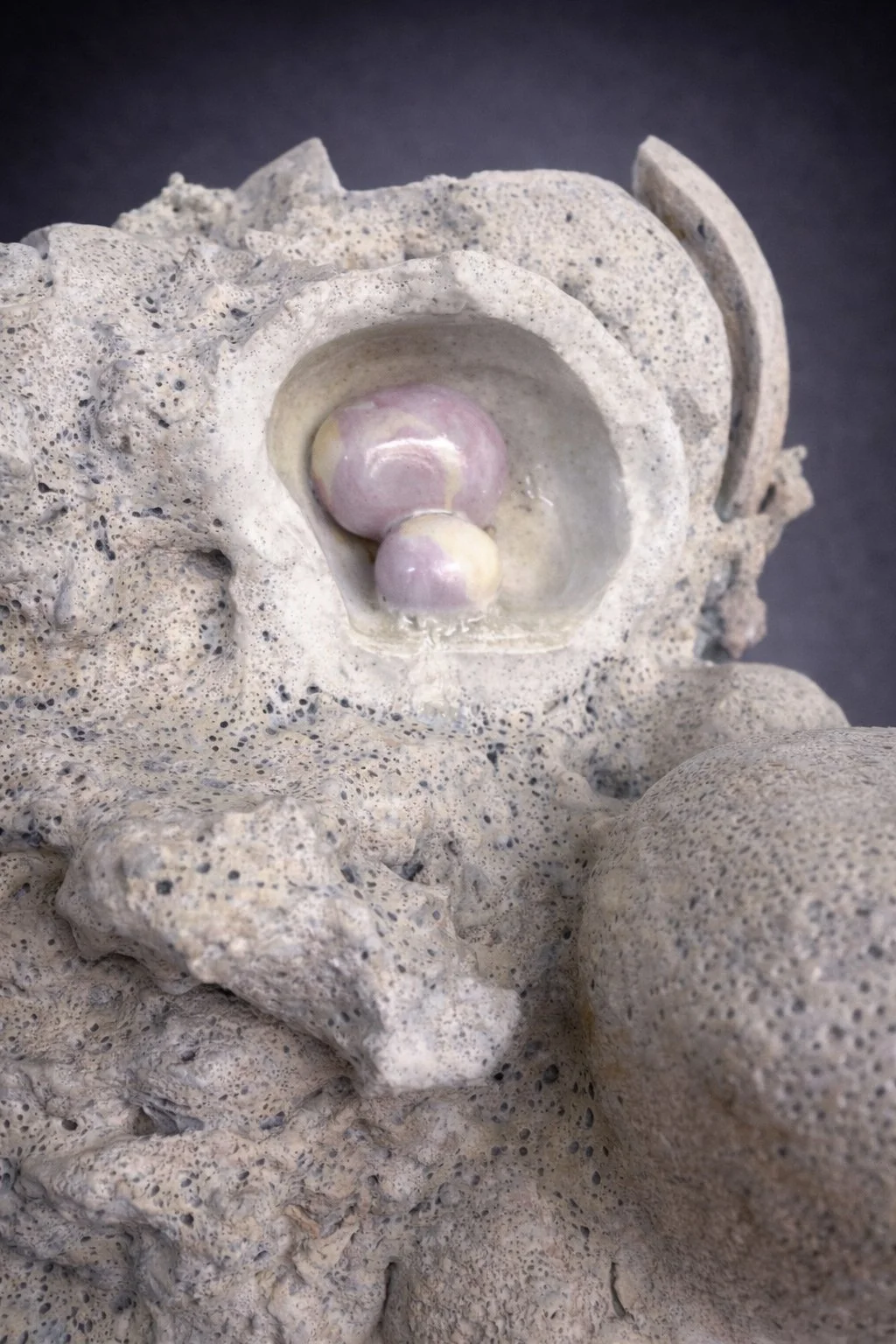 Lynn Basa_Rupture II-5 (gray background).jpg