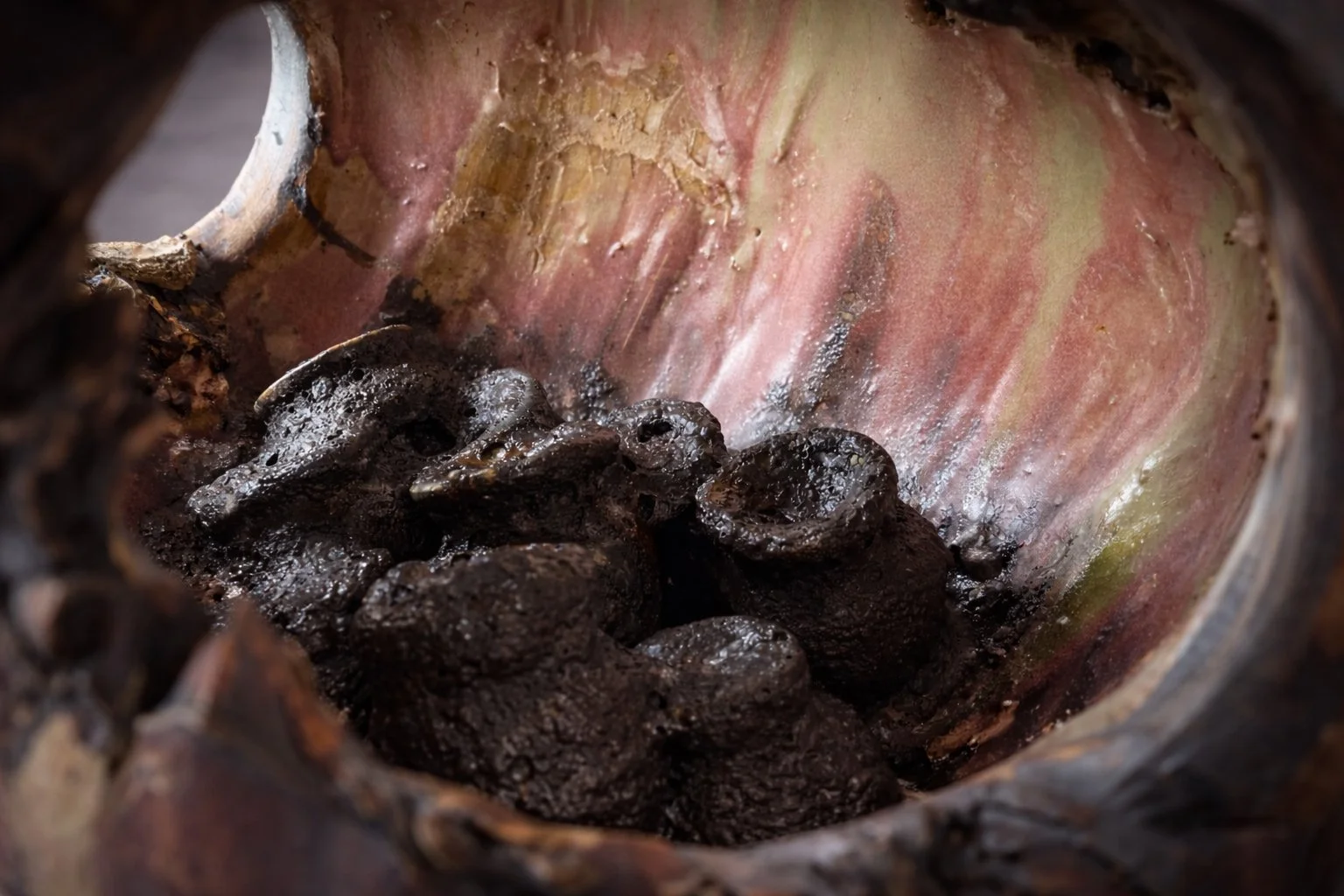 Lynn Basa-Sanctuary-9 gray background.jpg