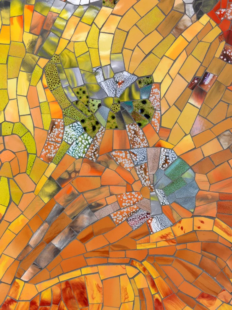 (Photo credit: Tom van Eynde)