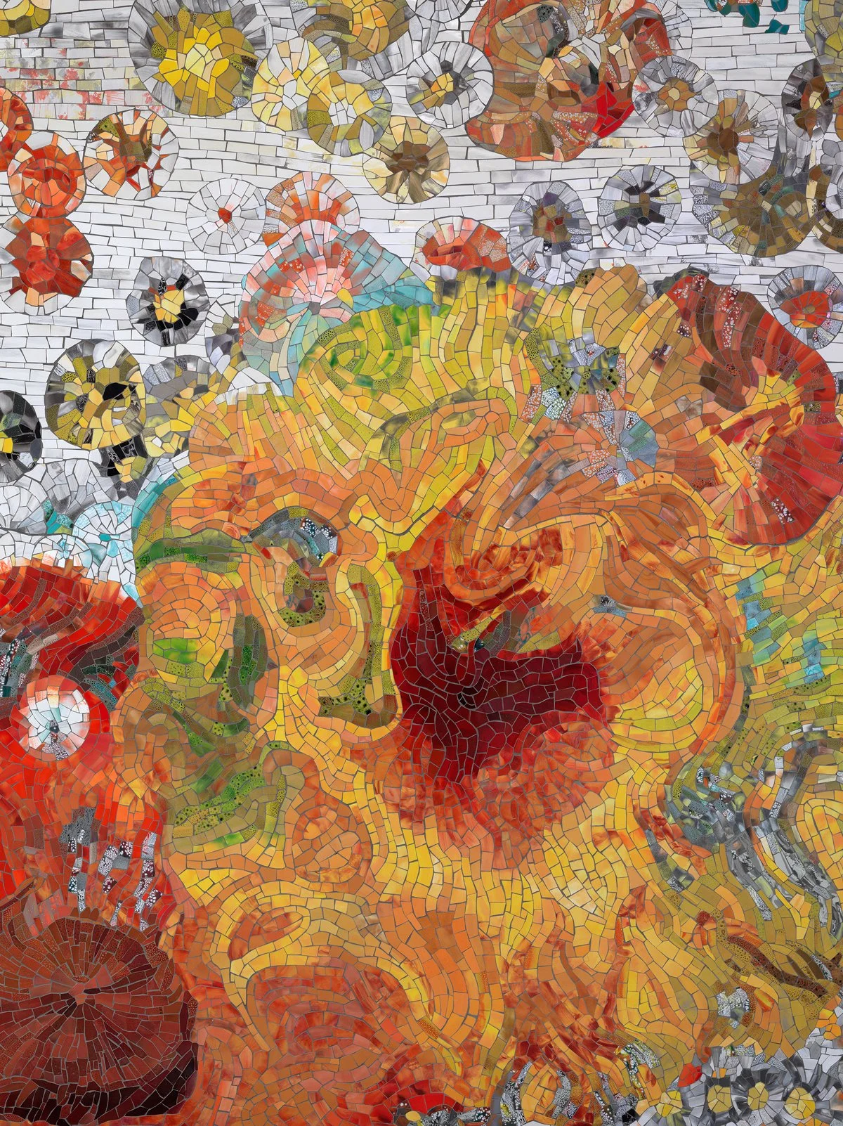 (Photo credit: Tom van Eynde)