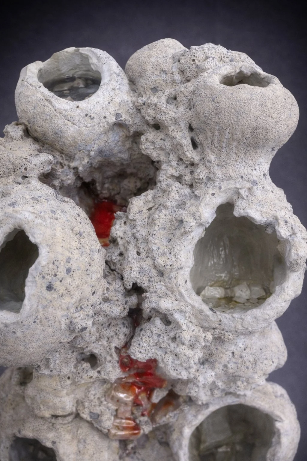 Lynn Basa_Rupture I-8 (gray background).jpg