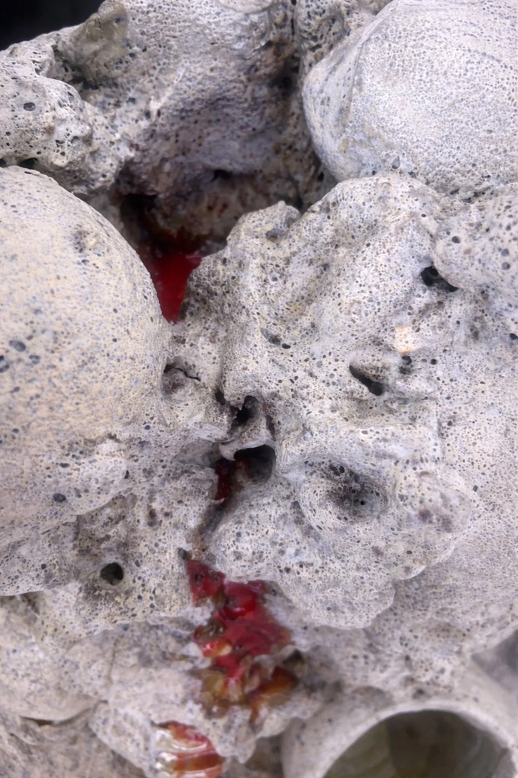 Lynn Basa_Rupture I-9 (gray background).jpg