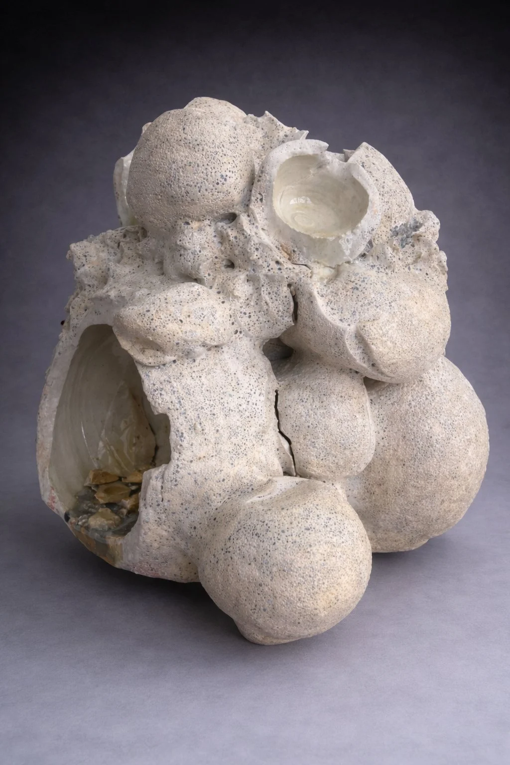 Lynn Basa_Rupture II-1 (gray background).jpg