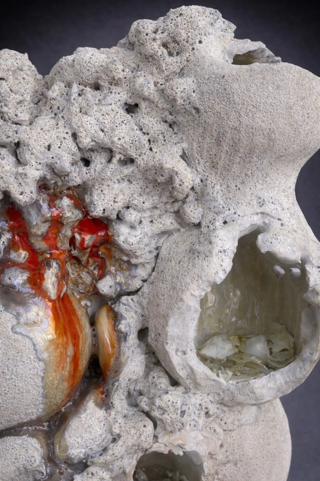 Lynn Basa_Rupture I-6 (gray background).jpg